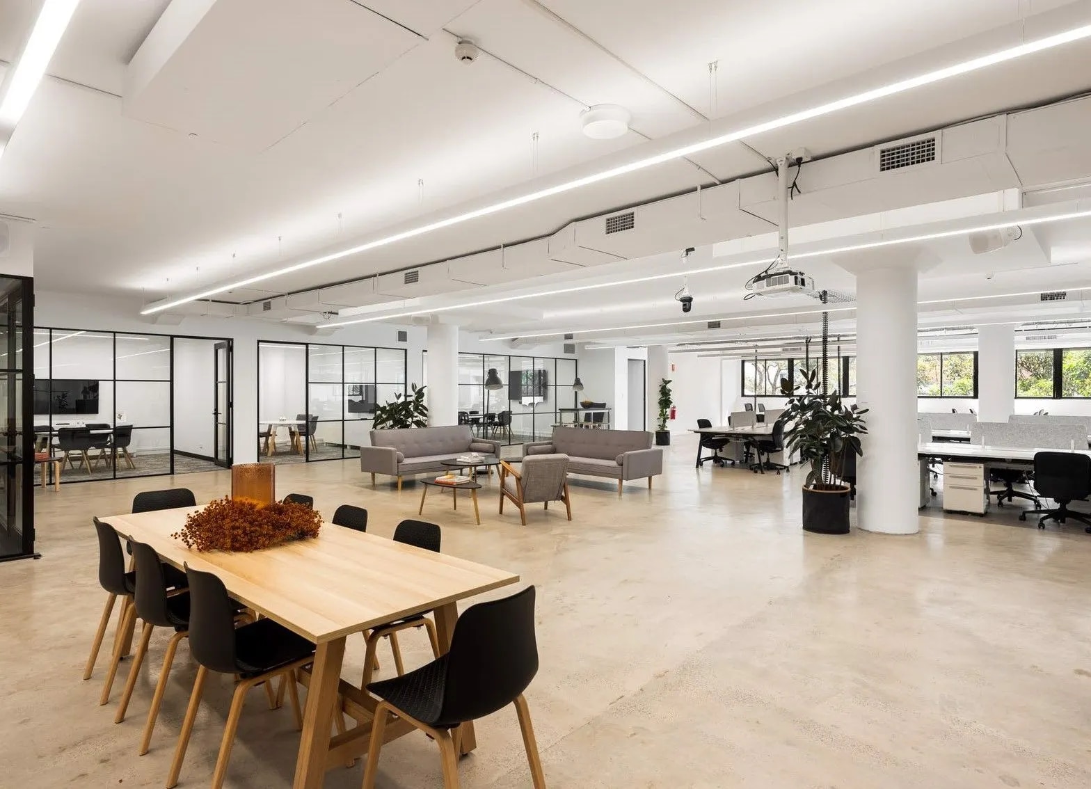 80 Cooper St, Surry Hills en alquiler Foto del interior- Imagen 1 de 6