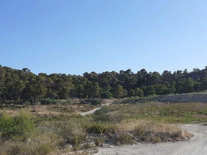 Terreno en Finestrat, Alicante en alquiler Foto del edificio- Imagen 1 de 14