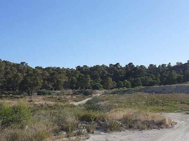Más detalles de Terreno en alquiler