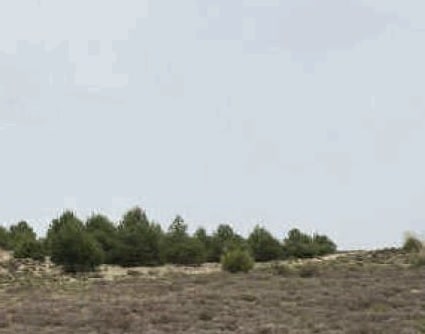 Más detalles de Terreno en venta