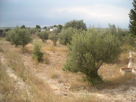 Terreno en Calasparra, Murcia en venta - Plano del sitio - Imagen 1 de 10