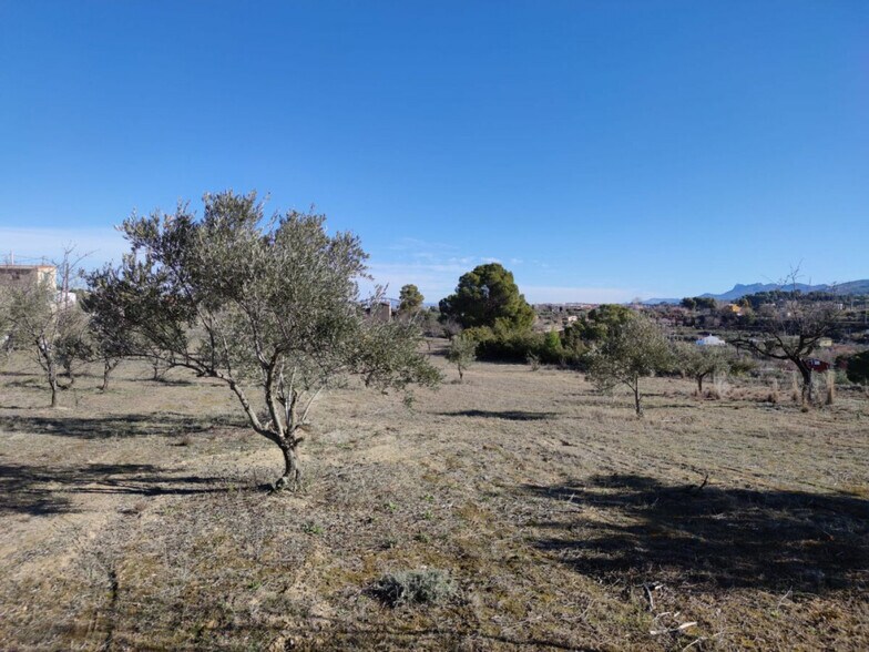 Terreno en Ontinyent, Valencia en venta - Plano del sitio - Imagen 3 de 13