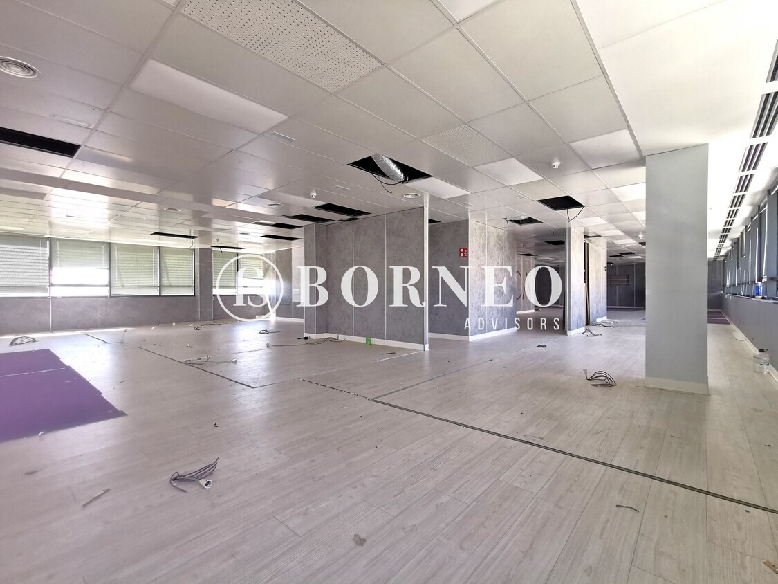 Calle Avenida Institución Libre de Enseñanza, 37, Madrid, Madrid en alquiler Foto del interior- Imagen 1 de 11