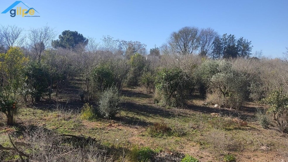 Terreno en Alcalá de Guadaíra, Sevilla en venta - Foto del edificio - Imagen 3 de 11