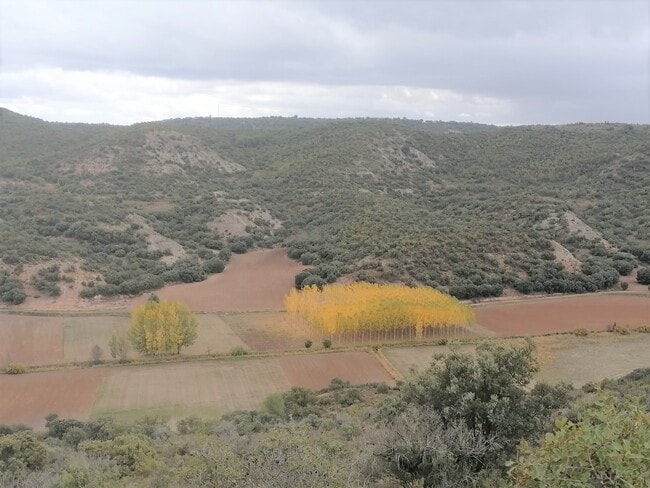 Más detalles de Terreno en venta