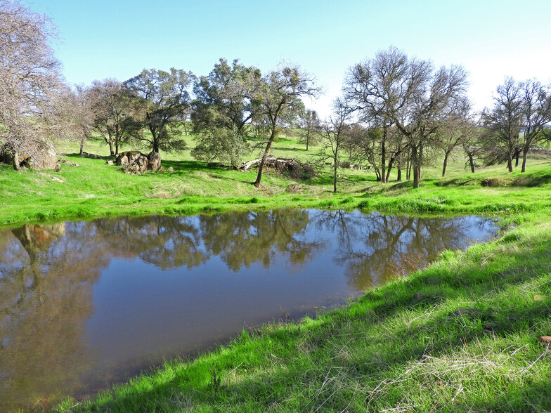 Putnam Ranch State Highway 16, Plymouth, CA en venta - Foto del edificio - Imagen 2 de 5