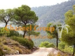 Victoriano Romeral, Monovar - Monover, Collao Vict, MONÒVER, Alicante en venta Foto principal- Imagen 1 de 2