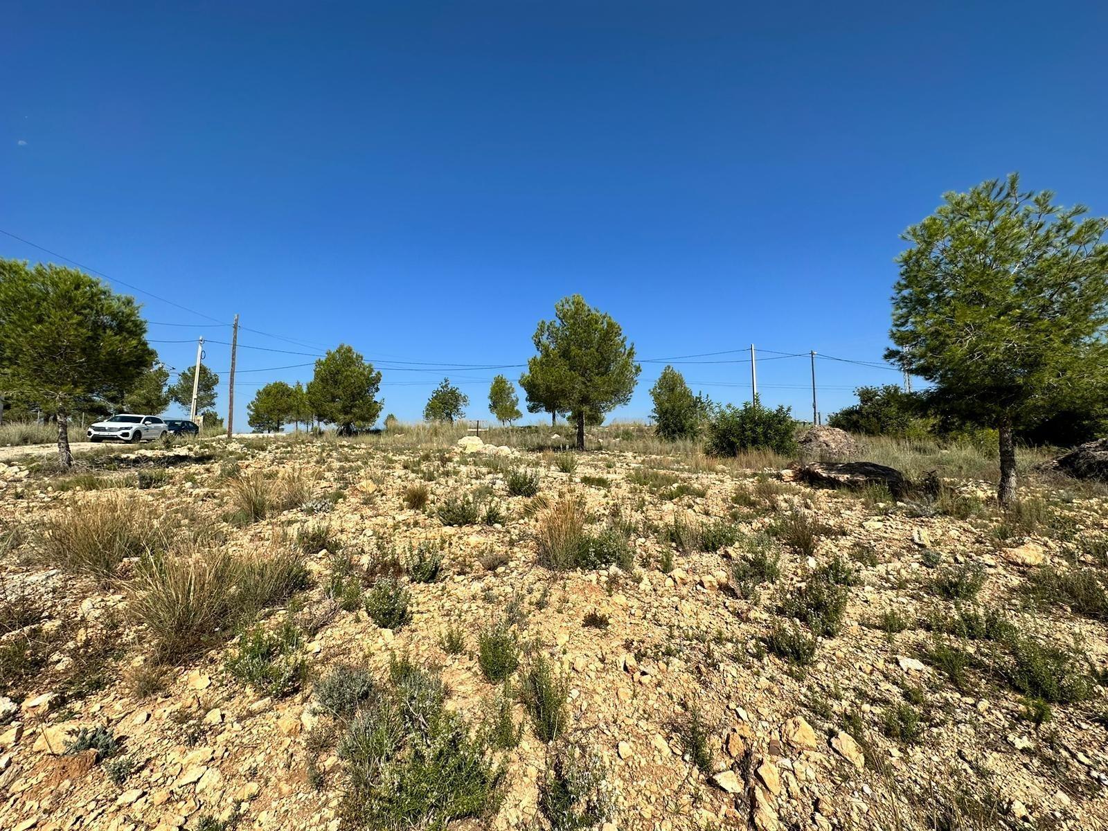 Terreno en Catadau, Valencia en venta Foto principal- Imagen 1 de 12