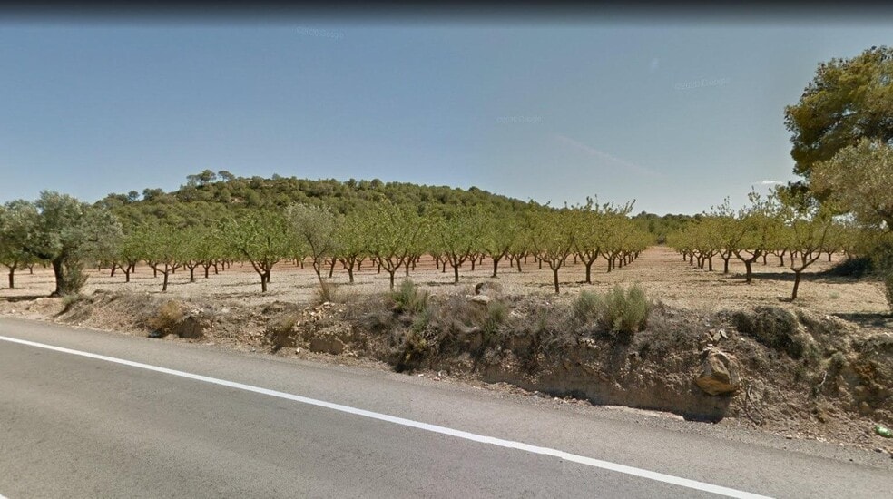 Terreno en Casinos en venta - Vista aérea - Imagen 2 de 3