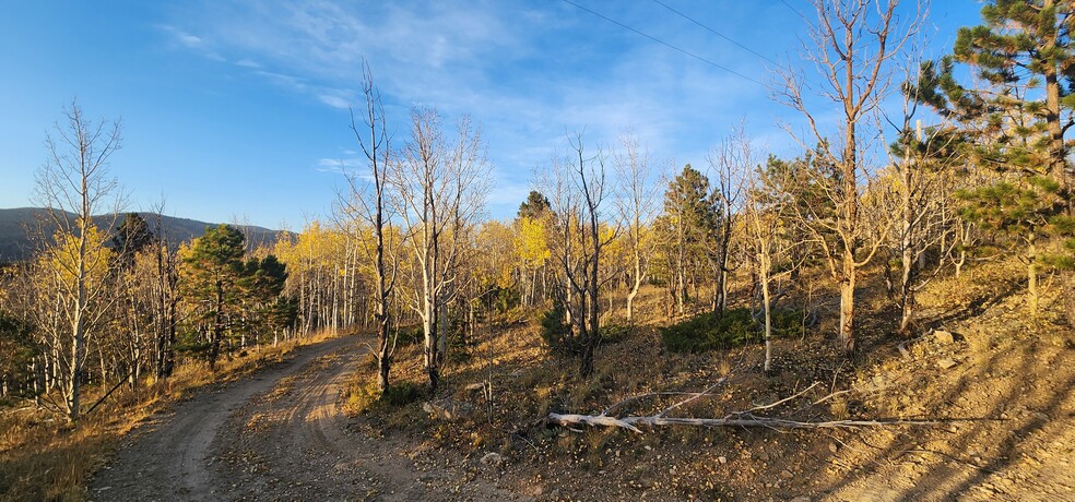 1650 Upper Apex Rd, Black Hawk, CO en venta - Foto del edificio - Imagen 3 de 10