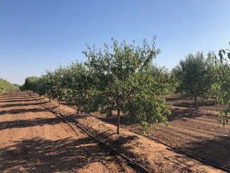 Más detalles para 86.5 +- ac Organic Almonds Shaw Avenue Clovis Ca, Clovis, CA - Terrenos en venta