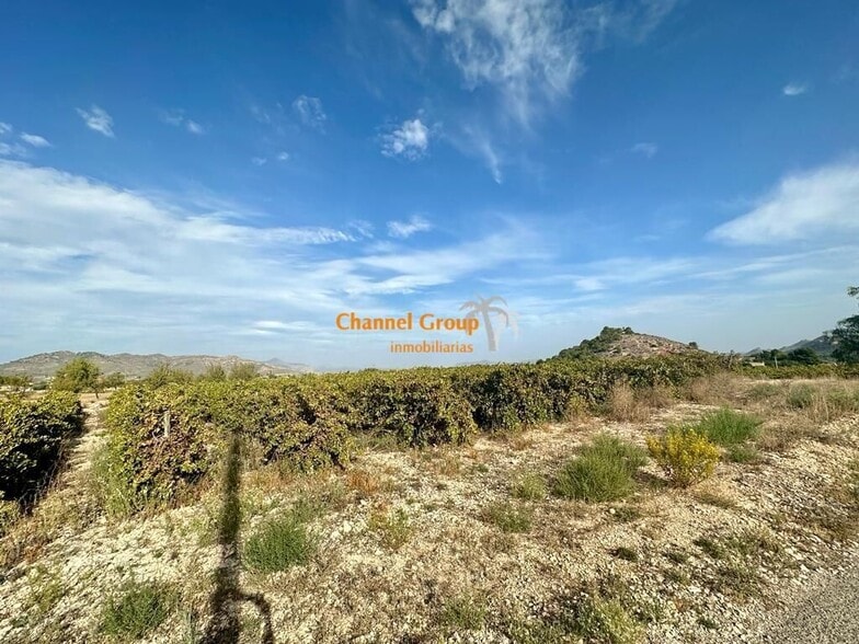 Terreno en La Romana, Alicante en venta - Vista aérea - Imagen 2 de 3