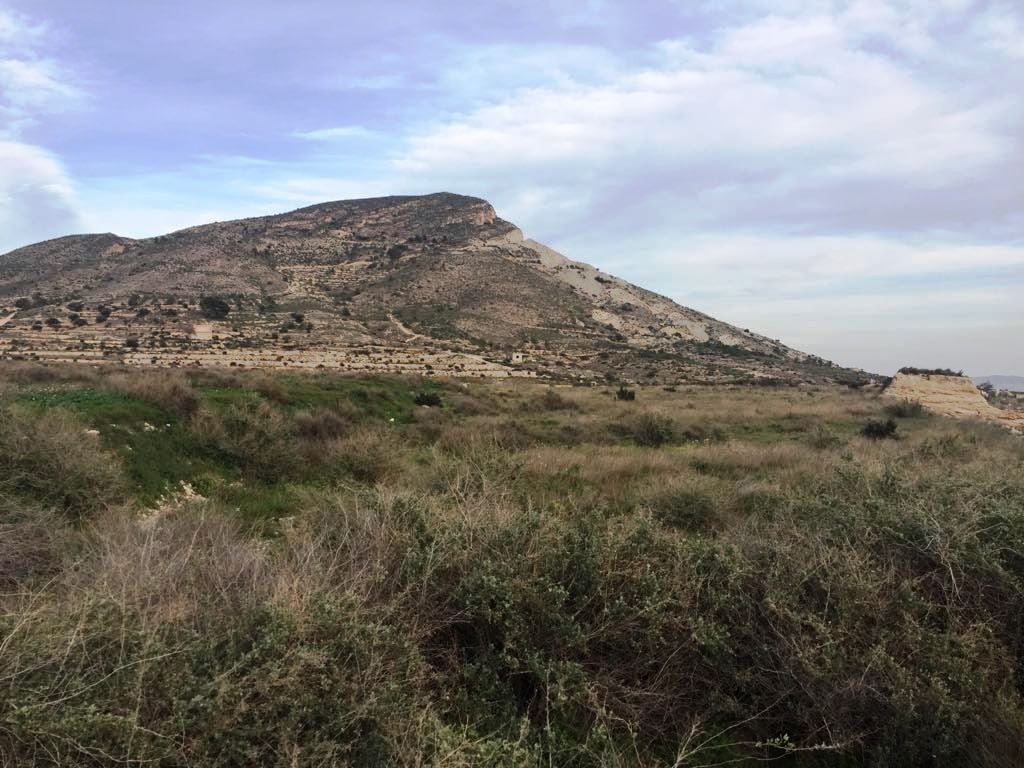 Terreno en Novelda, Alicante en venta Vista aérea- Imagen 1 de 6