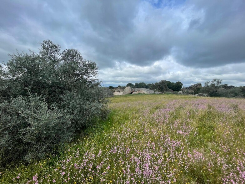 Terreno en Malpartida de Cáceres, Cáceres en venta - Vista aérea - Imagen 2 de 5