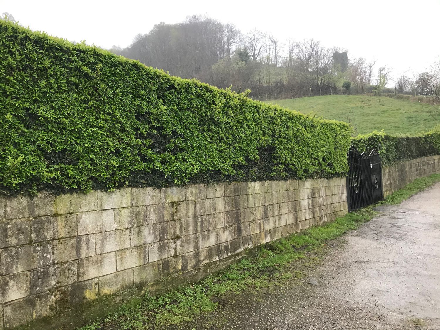 Terreno en Mieres, Asturias en venta Foto principal- Imagen 1 de 23