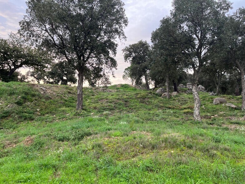 Carrer De La Roca, 20, Capmany, Gerona en venta - Foto del edificio - Imagen 2 de 7
