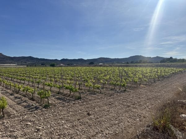 Terreno en Novelda, Alicante en venta - Vista aérea - Imagen 2 de 7