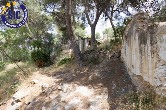 Más detalles de Terreno en venta