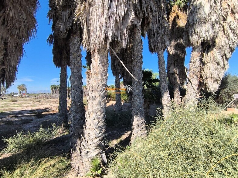 Terreno en Alicante en venta - Foto del edificio - Imagen 3 de 7
