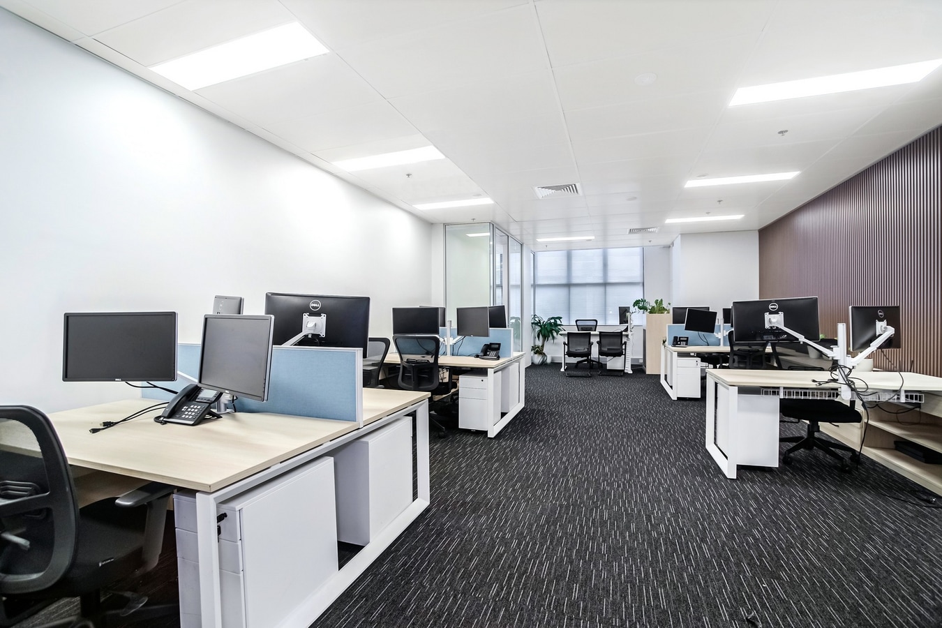 311-315 Castlereagh St, Haymarket, NSW 2000 - Unidad 64 -  - Foto del interior - Image 1 of 3