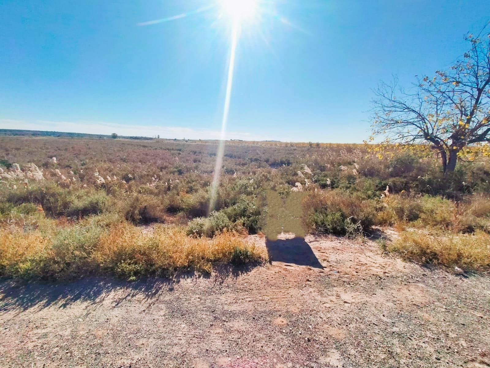 Terreno en Dolores, Alicante en venta Foto del edificio- Imagen 1 de 2