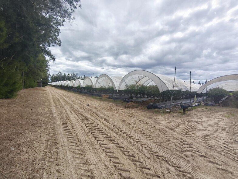 Terreno en Almonte, Huelva en venta - Foto principal - Imagen 1 de 18