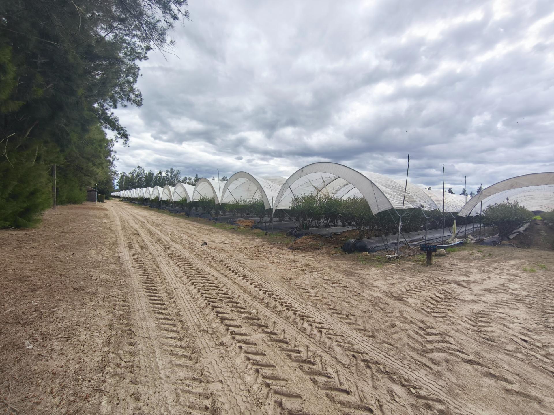 Terreno en Almonte, Huelva en venta Foto principal- Imagen 1 de 19