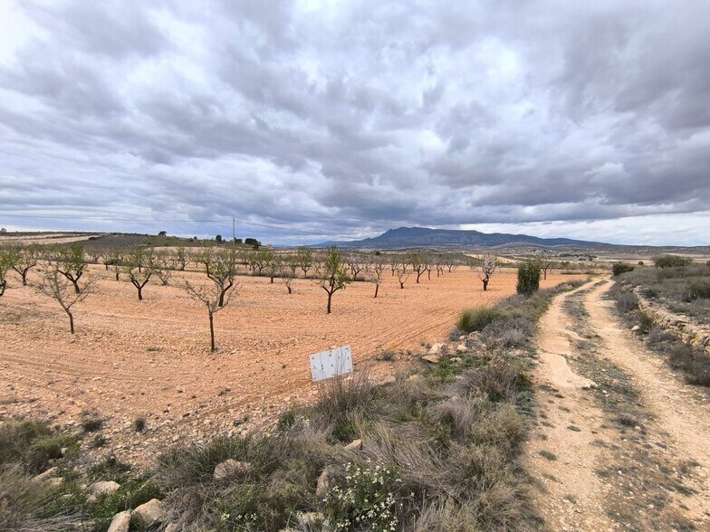 Terreno en Yecla, Murcia en venta - Vista aérea - Imagen 2 de 3