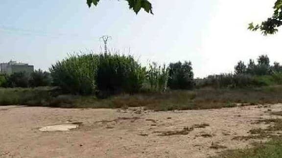 Terreno en Sueca, Valencia en venta Foto principal- Imagen 1 de 8