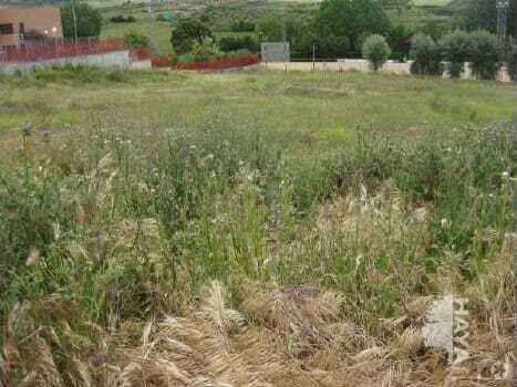 Lugar Paraje Cantarranas, Tórtola de Henares, Guadalajara en venta Foto del edificio- Imagen 1 de 1