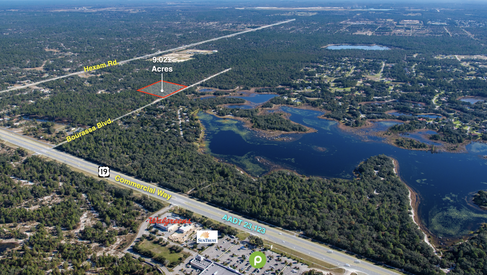 11011 Bourassa Blvd, Brooksville, FL en venta - Vista aérea - Imagen 2 de 25