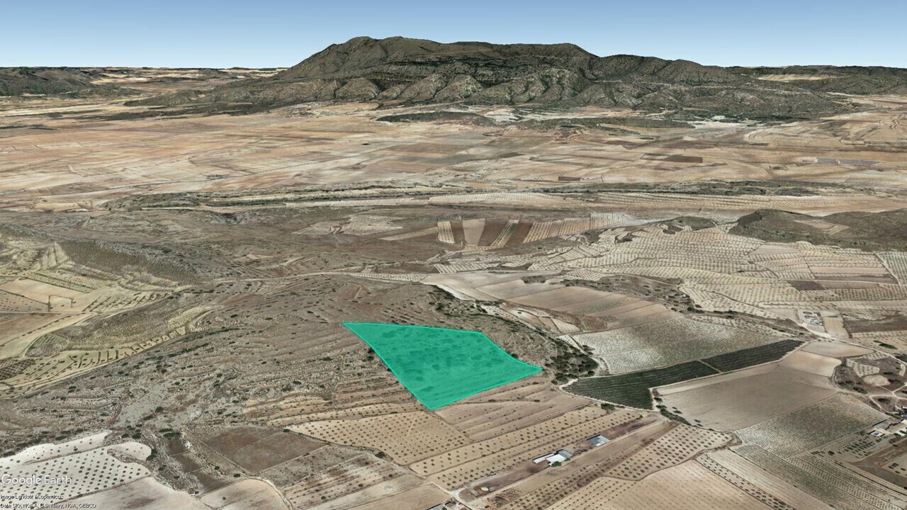 Calle del Polígono L, Parcela 315, Jumilla, Murcia en venta Foto principal- Imagen 1 de 6