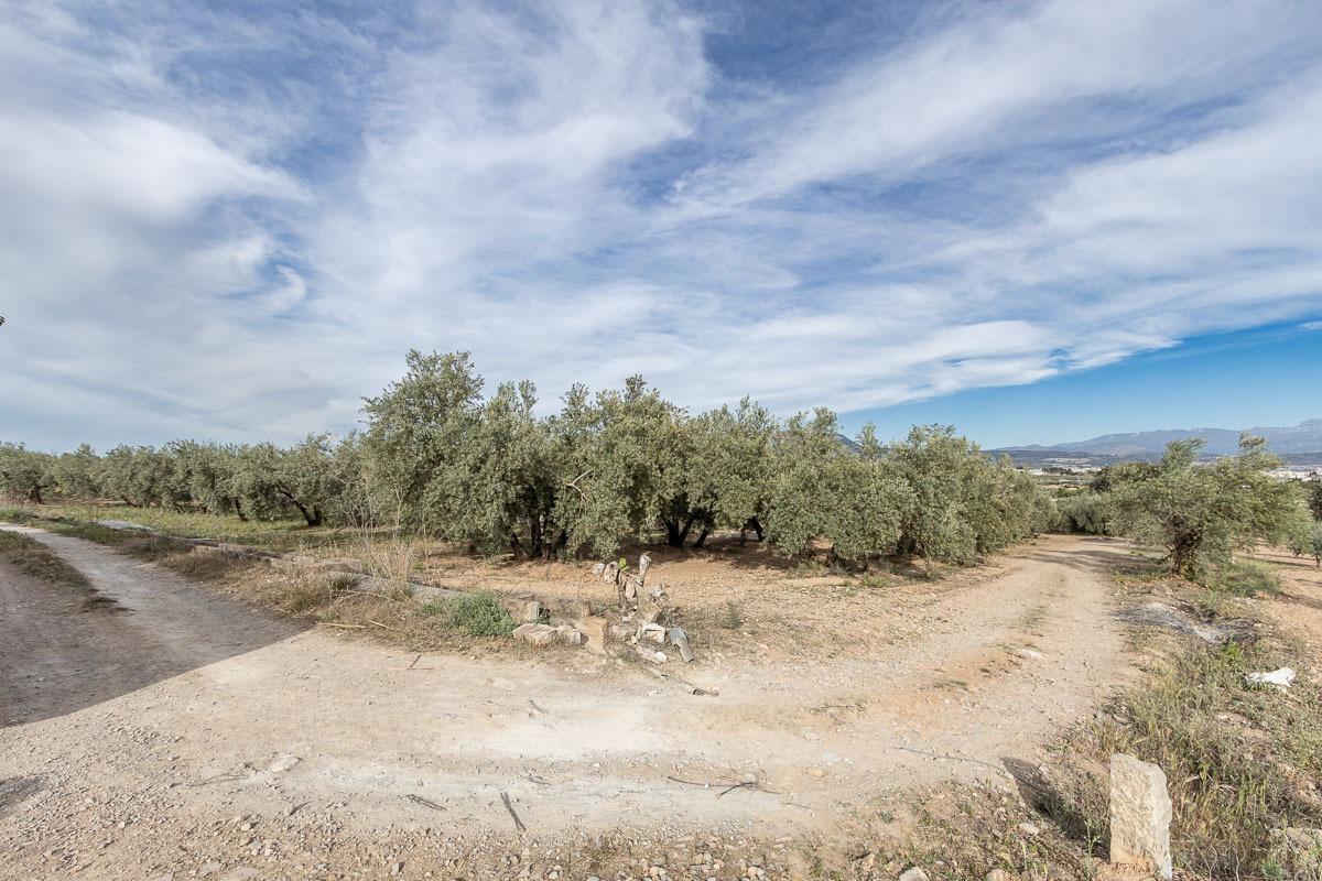 Pago de, Albolote, Granada en venta Foto principal- Imagen 1 de 15