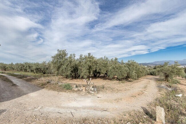 Más detalles de Pago de, Albolote - Terreno en venta