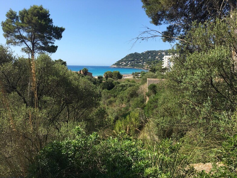 Terreno en Capdepera, Islas Baleares en venta - Foto principal - Imagen 1 de 1