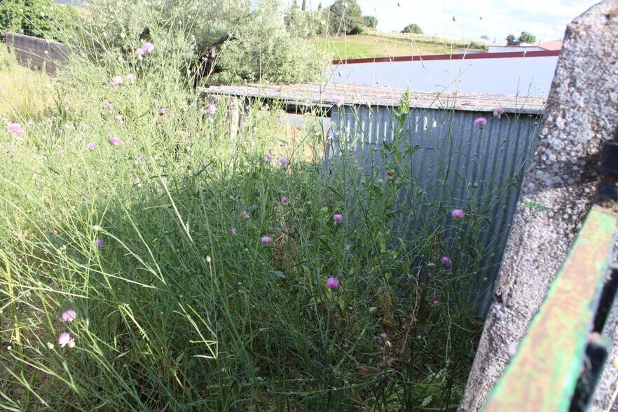 Terreno en Sierra de Fuentes, Cáceres en venta - Foto principal - Imagen 1 de 9