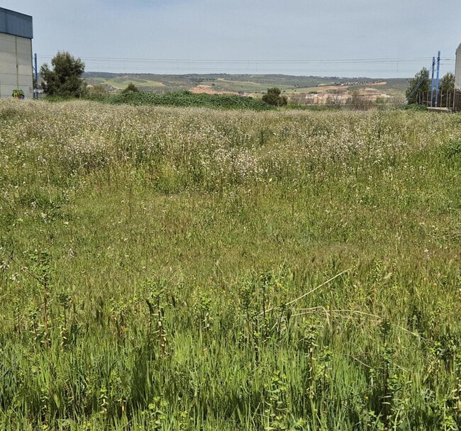 Más detalles de Terreno en venta