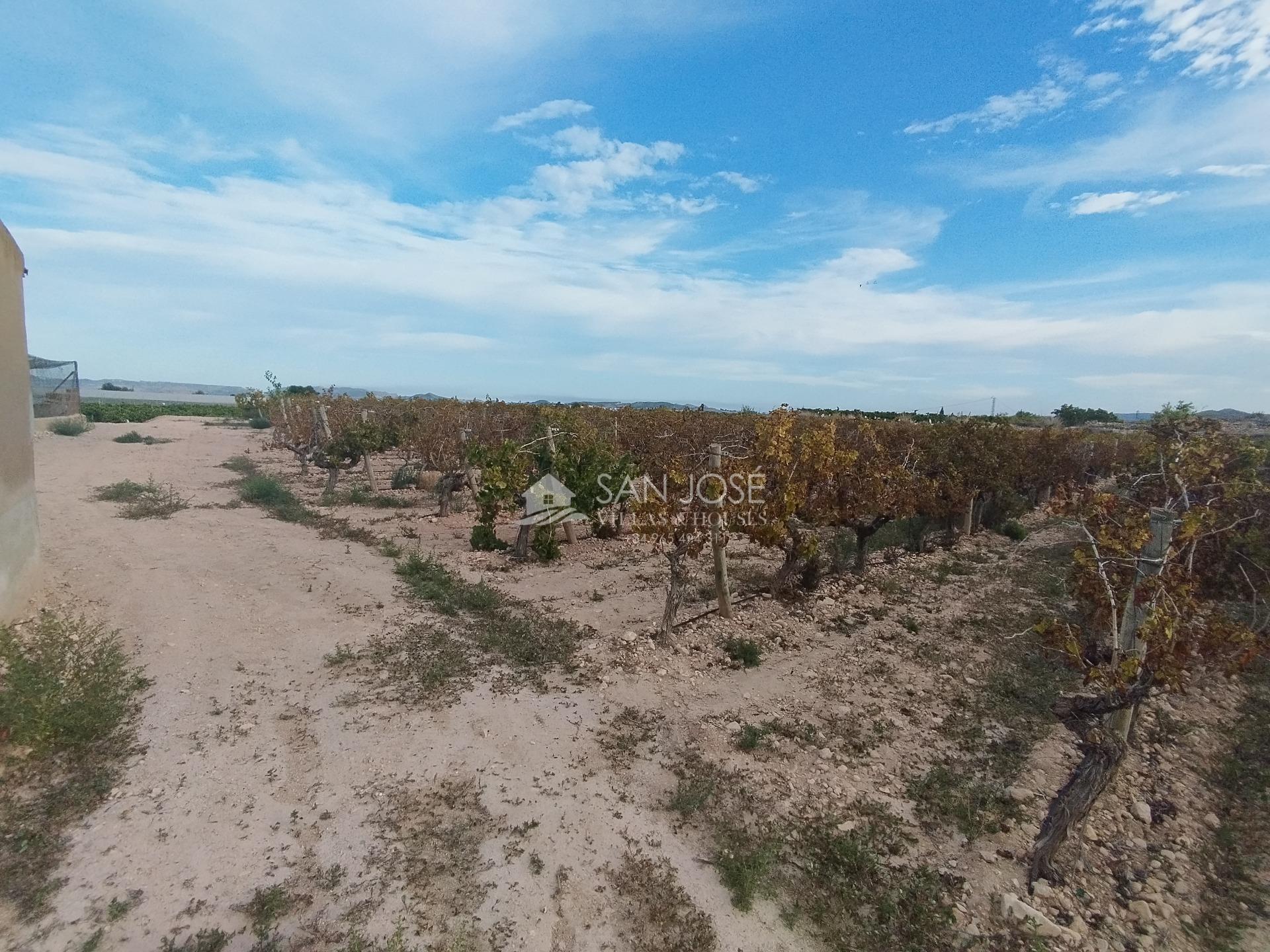 Pol, 28, Novelda, Alicante en venta Vista aérea- Imagen 1 de 6