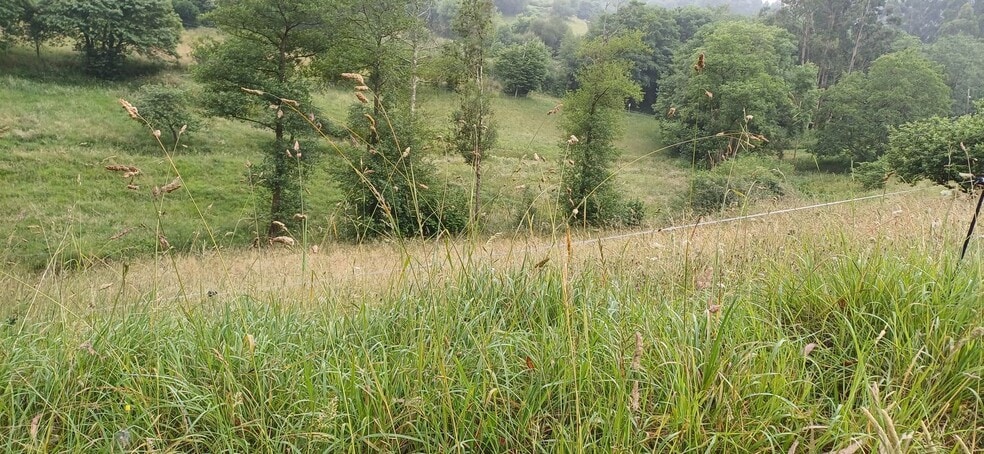 Barrio Illas, S/N, Illas, Asturias en venta - Vista aérea - Imagen 3 de 8