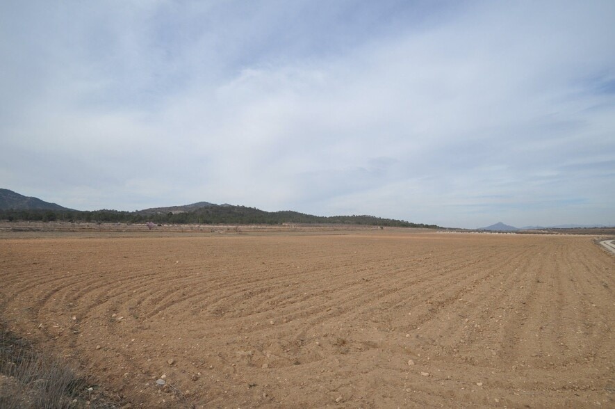 Terreno en MONÒVER, Alicante en venta - Vista aérea - Imagen 1 de 3