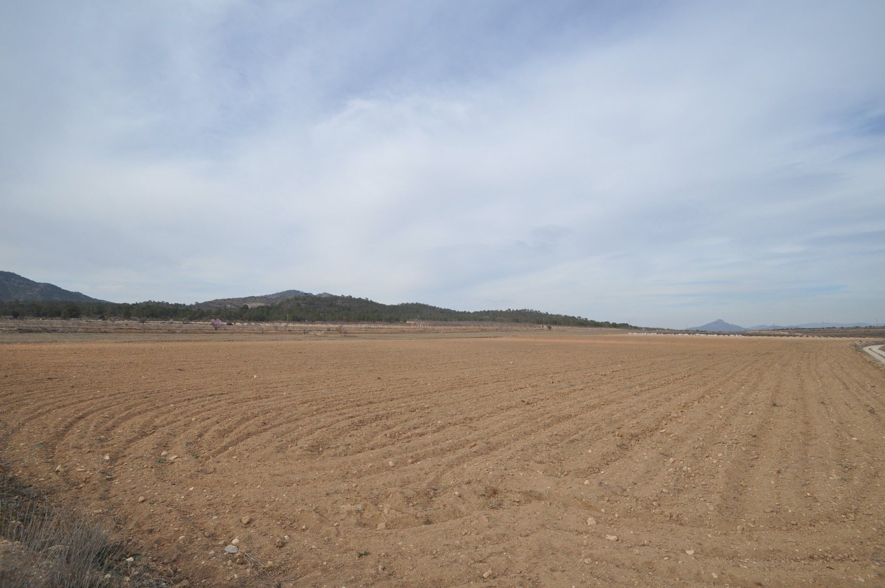 Terreno en MONÒVER, Alicante en venta Vista aérea- Imagen 1 de 4