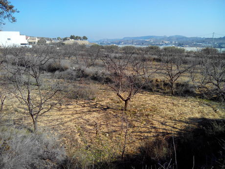 Terreno en Cehegín, Murcia en venta - Plano del sitio - Imagen 2 de 8