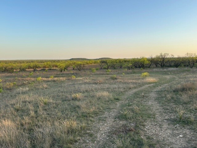Highway 6, Albany, TX en venta - Foto del edificio - Imagen 1 de 1
