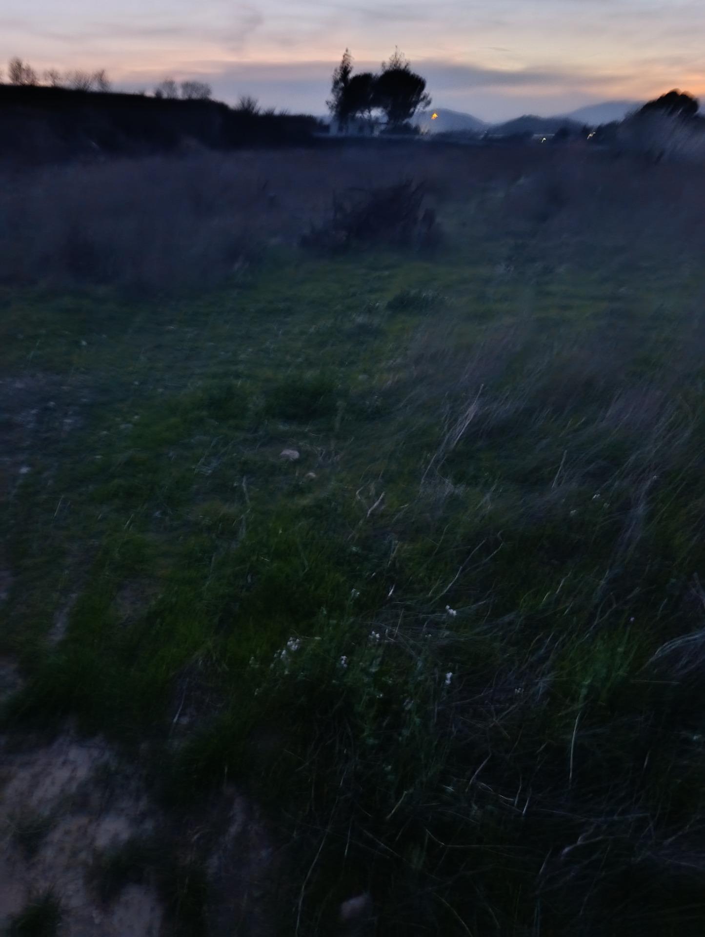 Terreno en Cehegín, Murcia en venta Foto principal- Imagen 1 de 22