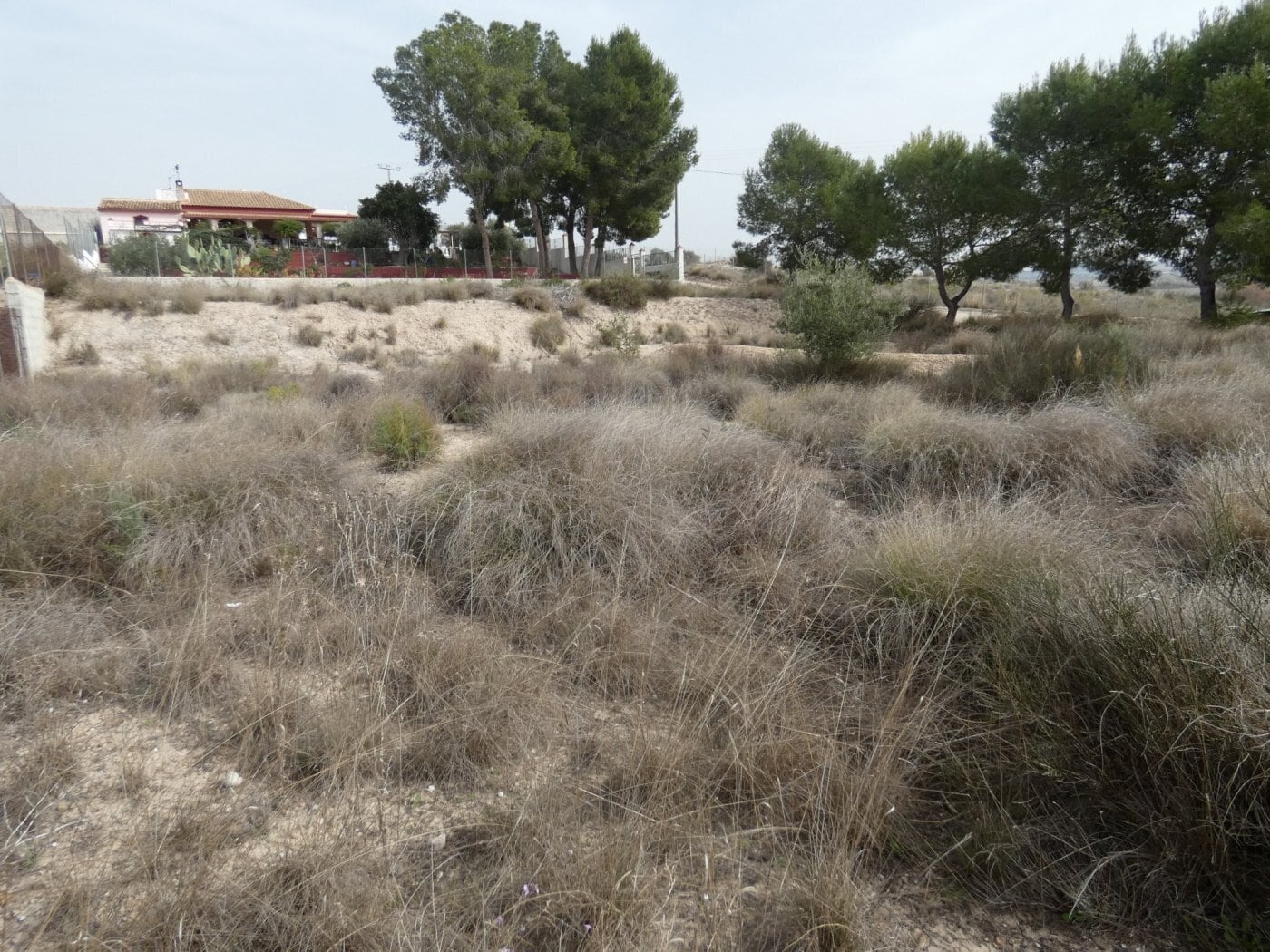 Terreno en Molina de Segura, Murcia en venta Vista aérea- Imagen 1 de 4
