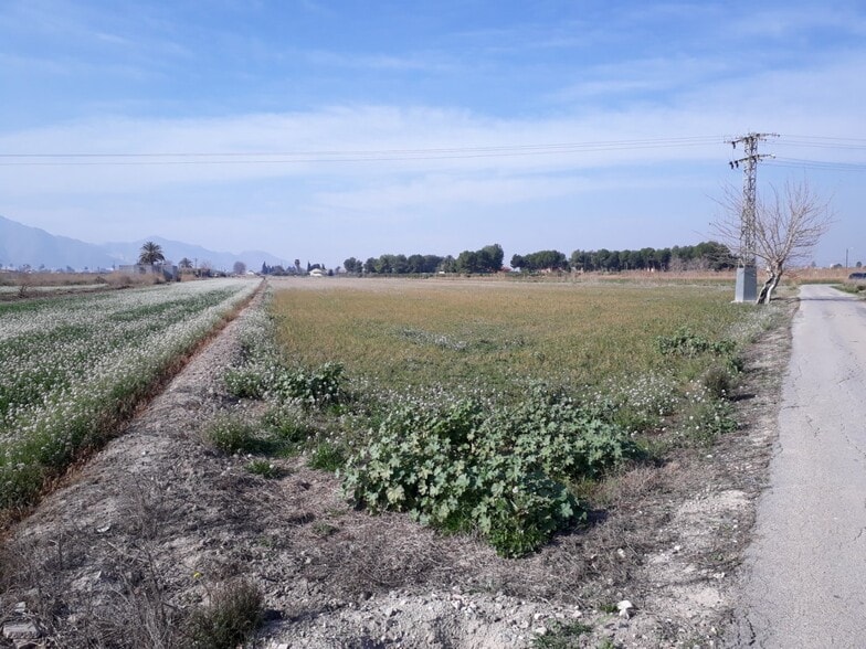 Terreno en Granja de Rocamora, Alicante en venta - Plano del sitio - Imagen 2 de 5