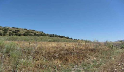 Terreno en Atarfe, Granada en venta - Plano del sitio - Imagen 3 de 9