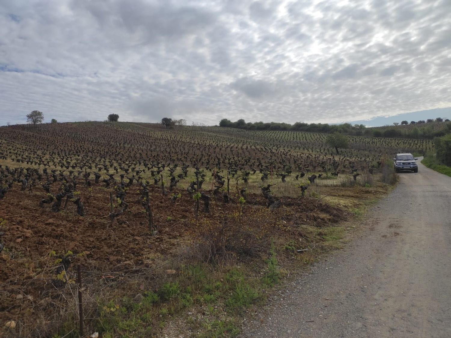 Polígono, S/N, Camponaraya, León en venta Vista aérea- Imagen 1 de 7