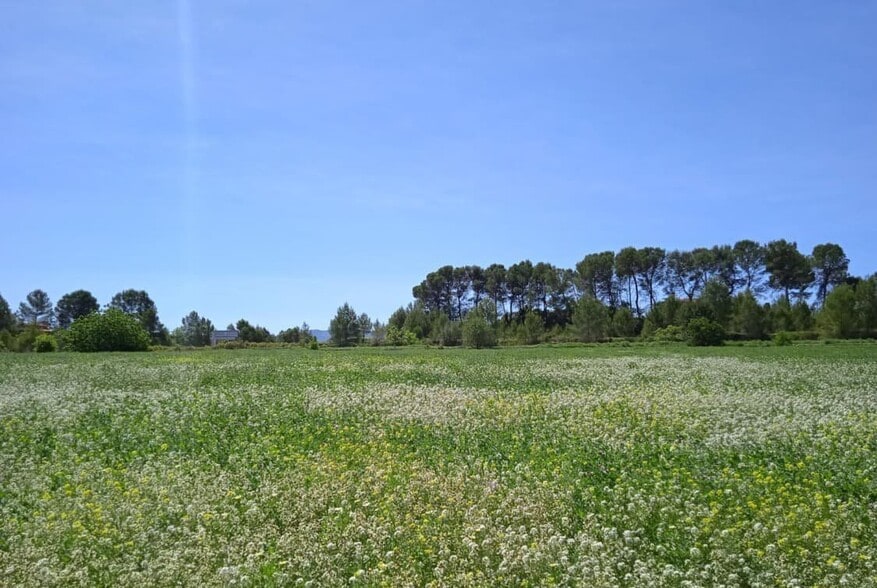 Terreno en Agullent, Valencia en venta - Plano del sitio - Imagen 2 de 7