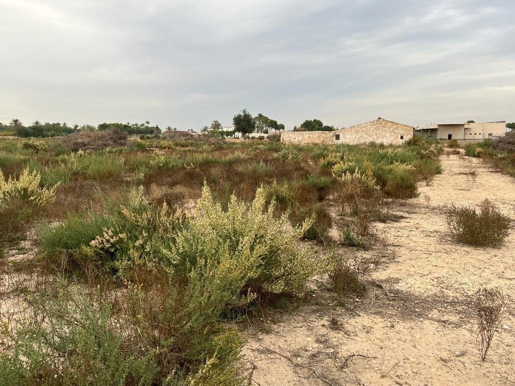 Terreno en Elche, Alicante en venta Plano del sitio- Imagen 1 de 8